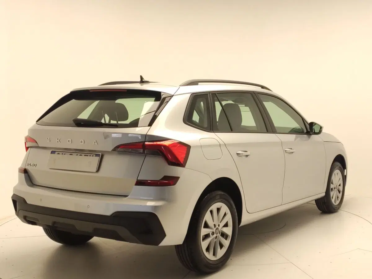 Skoda Kamiq usata a Avellino (7)