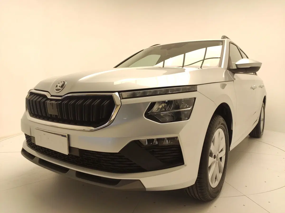 Skoda Kamiq usata a Avellino (8)