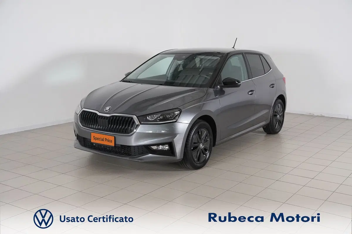 Skoda Fabia usata a Perugia