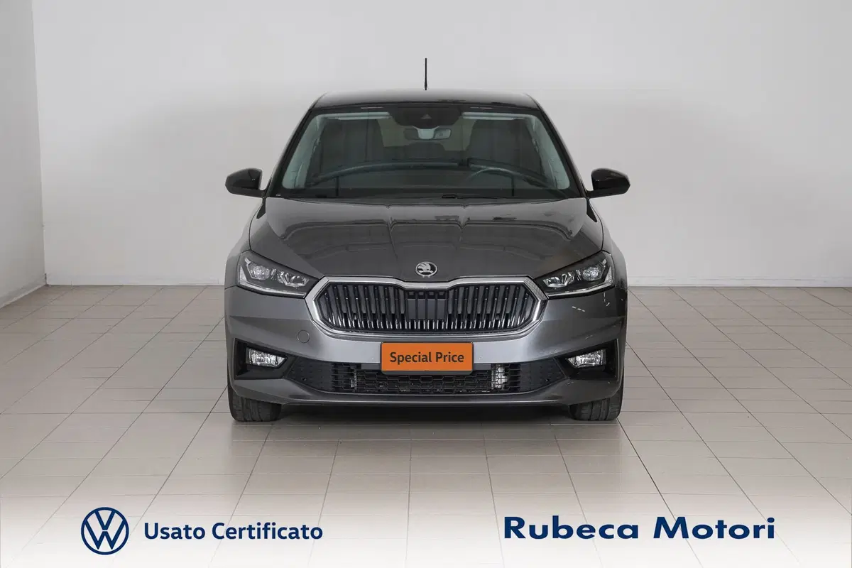 Skoda Fabia usata a Perugia (2)