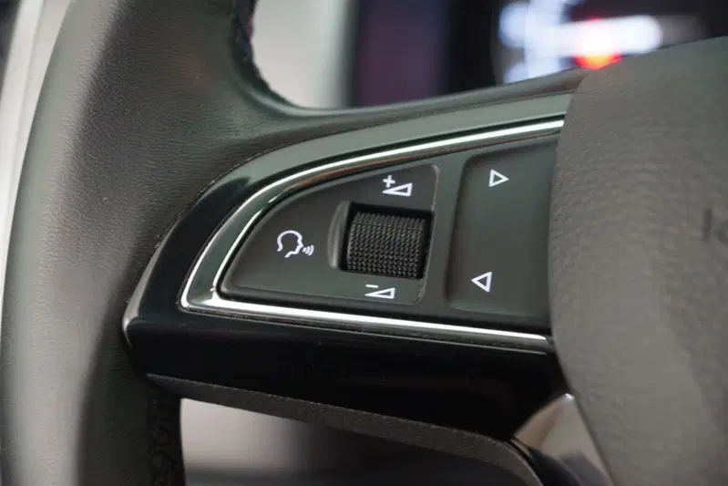 Skoda Kodiaq usata a Torino (15)