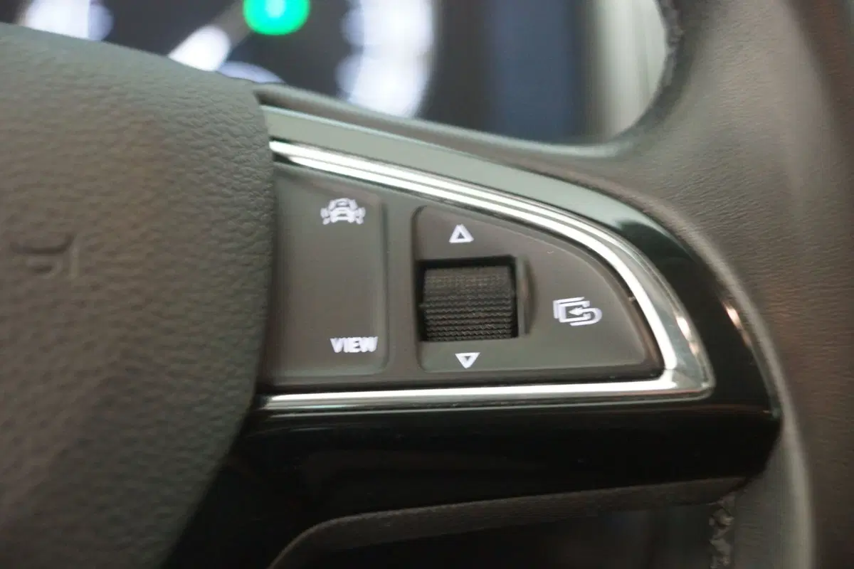 Skoda Kodiaq usata a Torino (16)