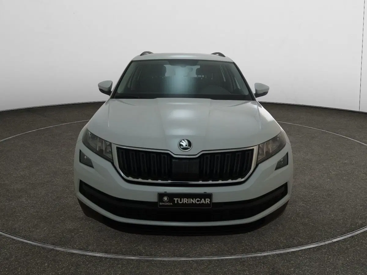 Skoda Kodiaq usata a Torino (2)
