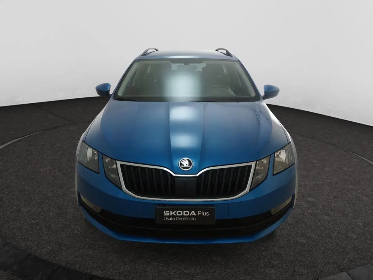 Skoda Octavia usata a Torino (2)