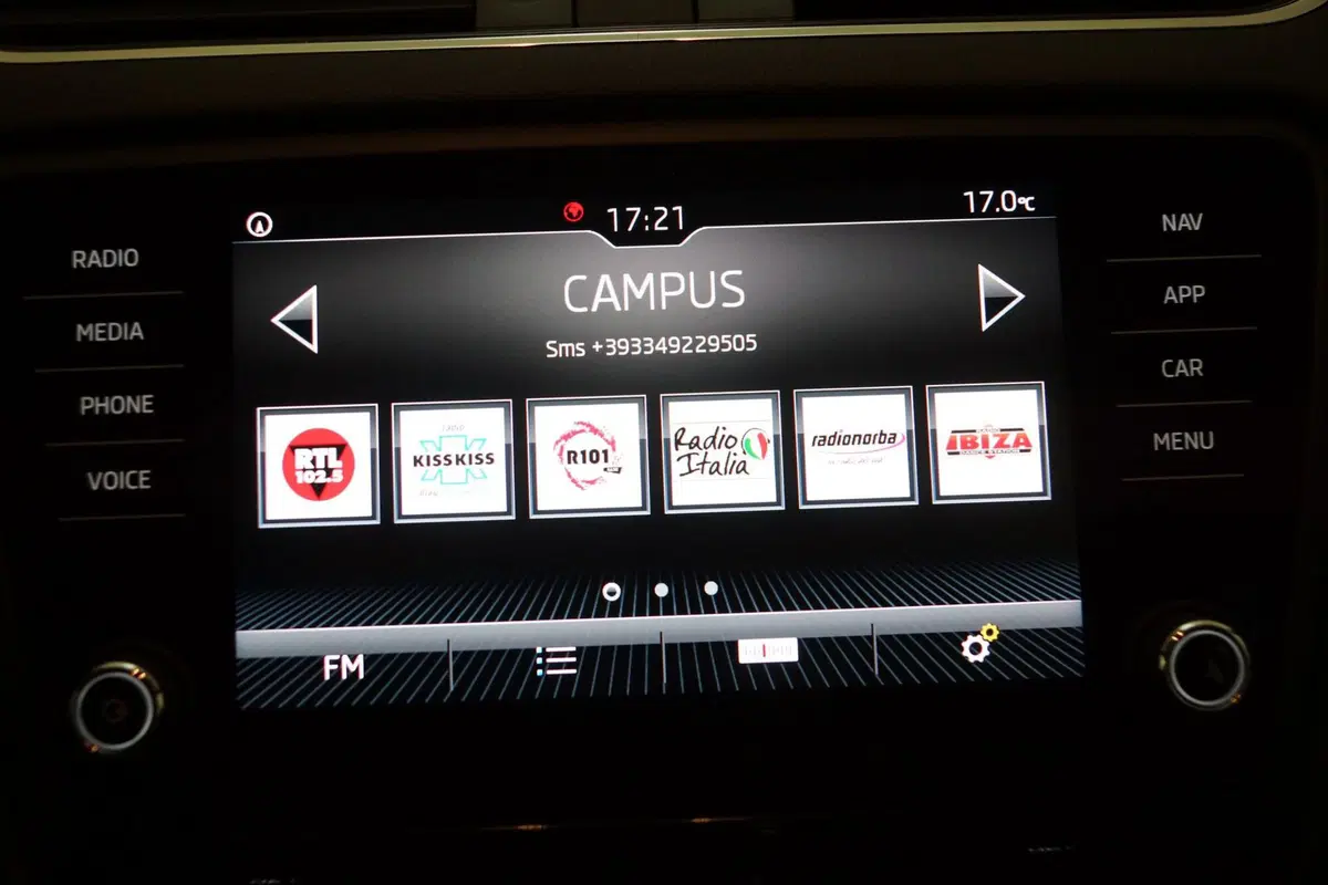 Skoda Octavia Station Wagon usata a Torino (16)