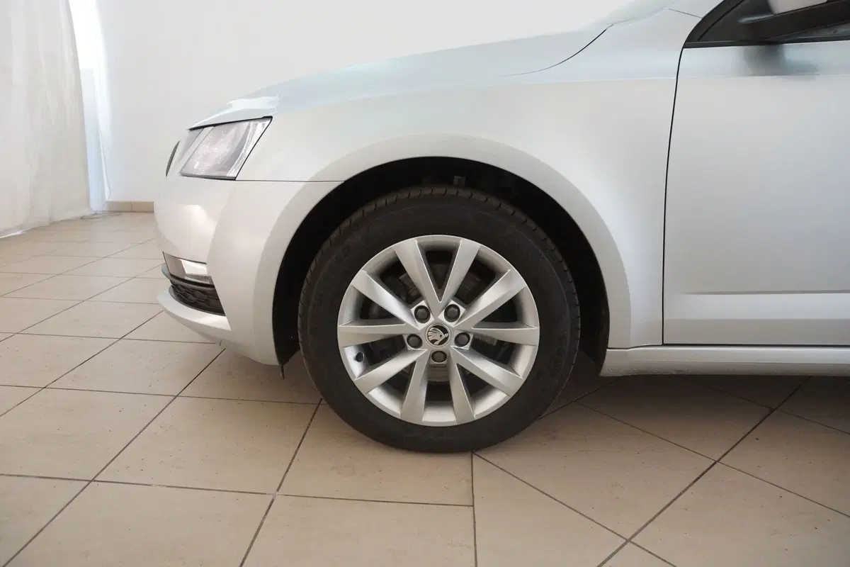 Skoda Octavia Station Wagon usata a Torino (20)