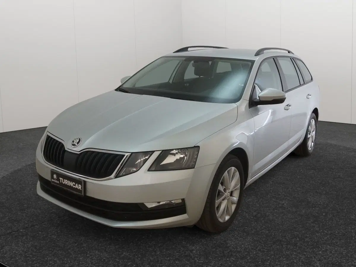 Skoda Octavia Station Wagon usata a Torino (3)