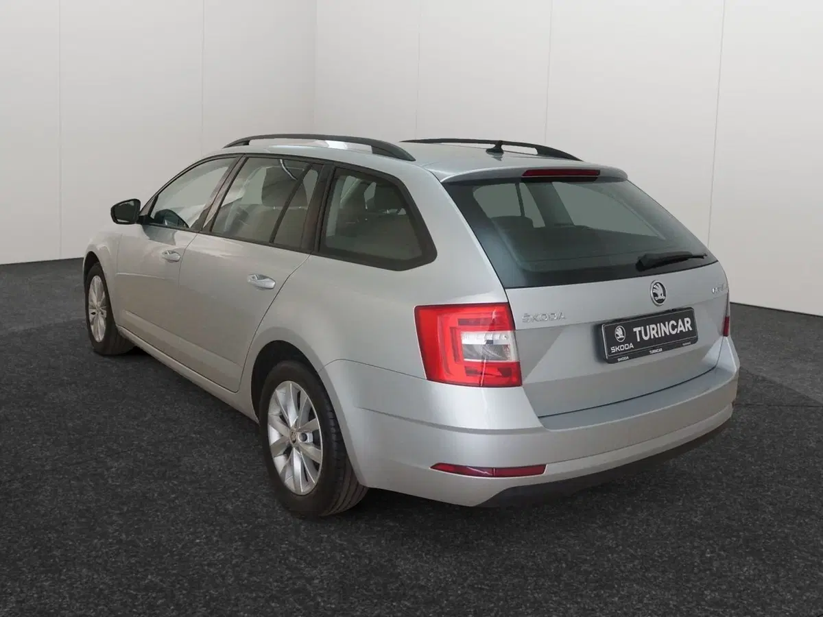 Skoda Octavia Station Wagon usata a Torino (4)