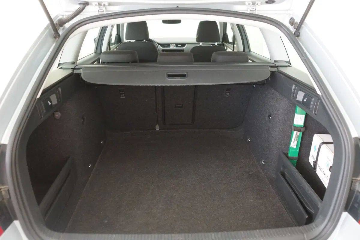 Skoda Octavia Station Wagon usata a Torino (7)