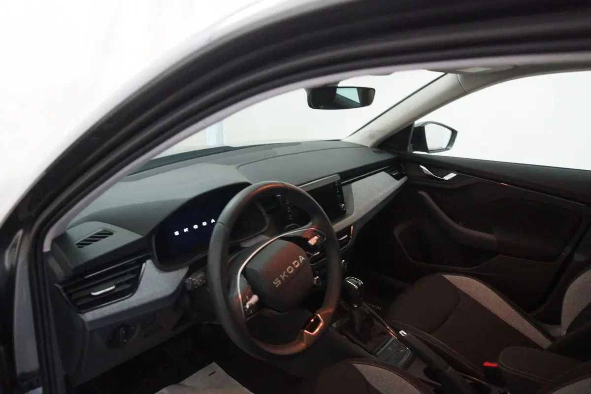 Skoda Kamiq usata a Torino (10)