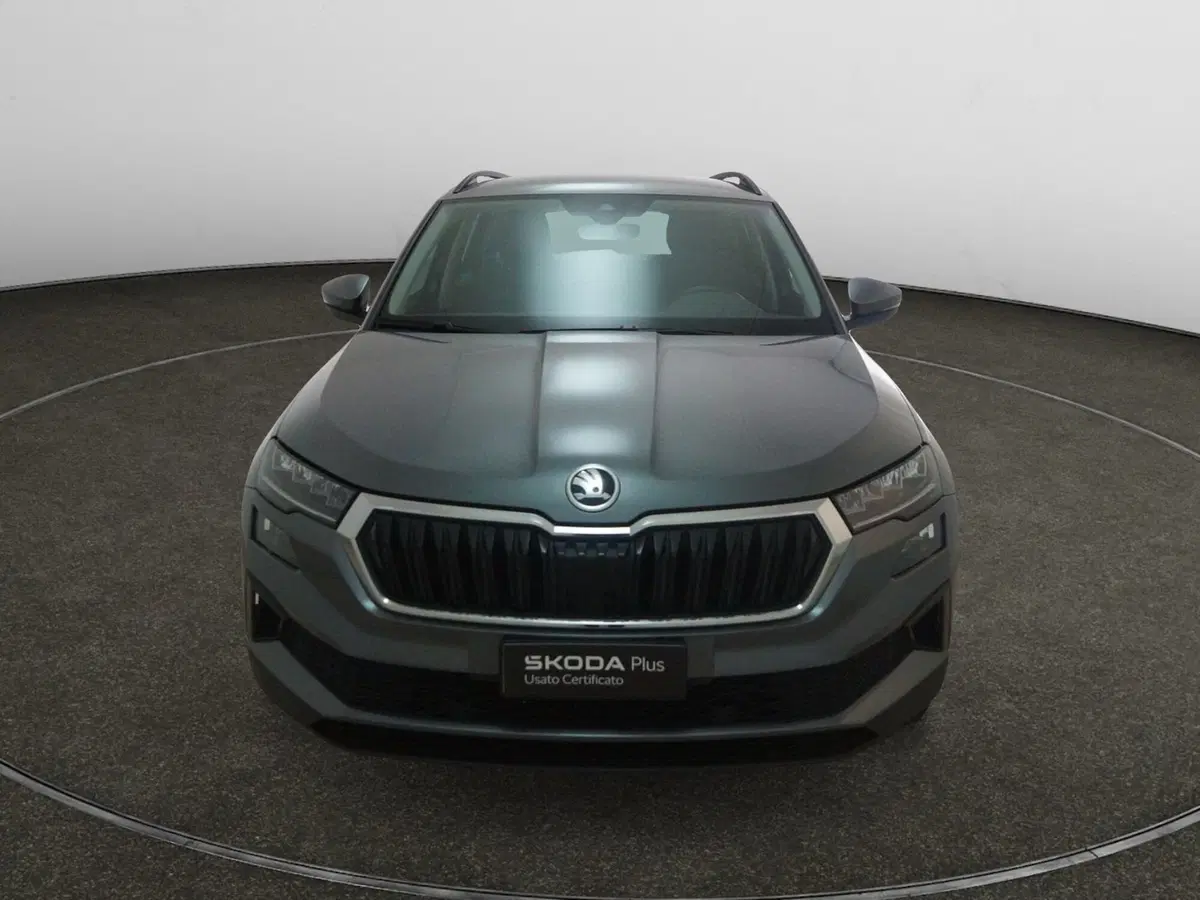 Skoda Karoq usata a Torino (2)