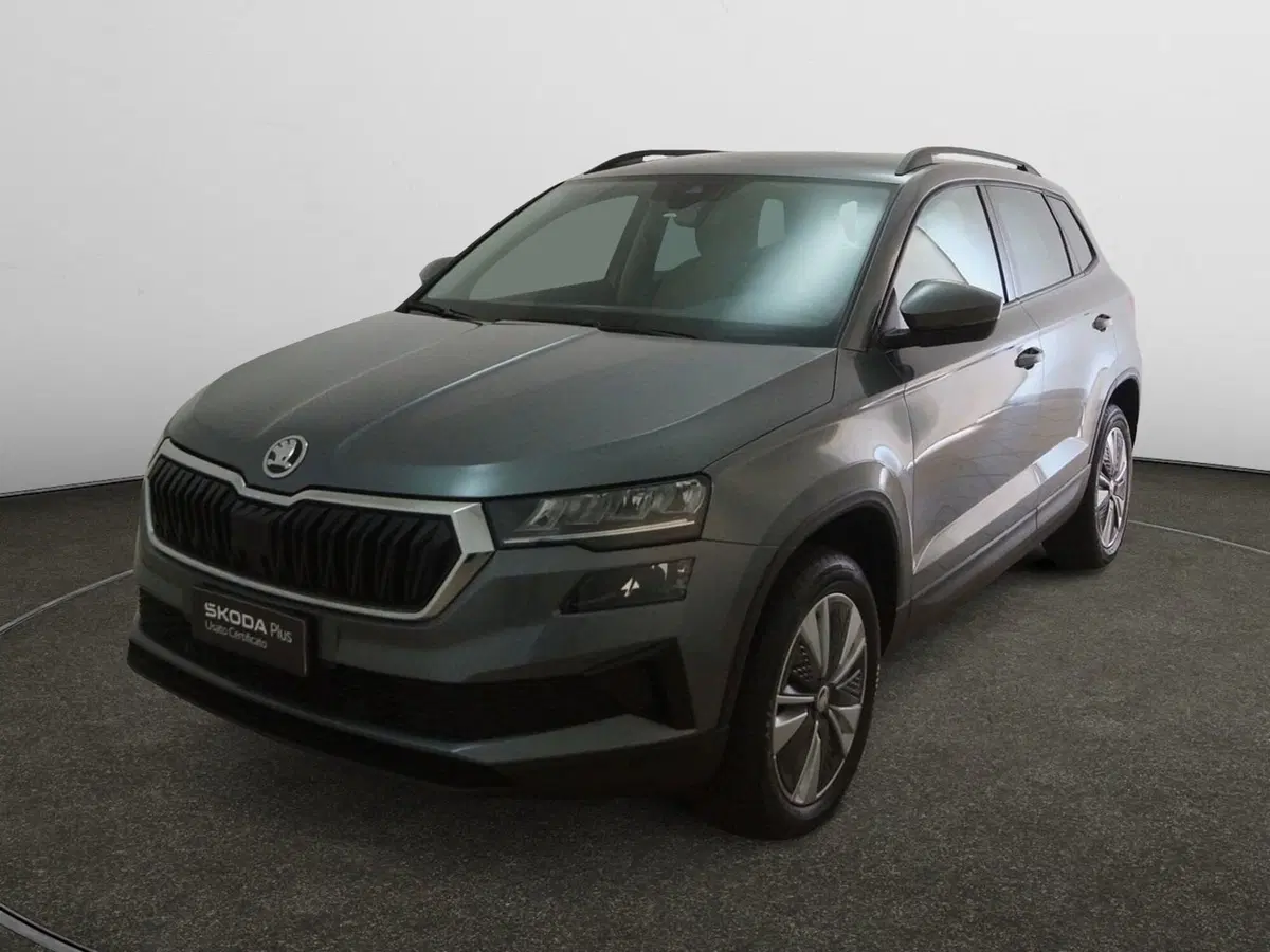 Skoda Karoq usata a Torino (3)
