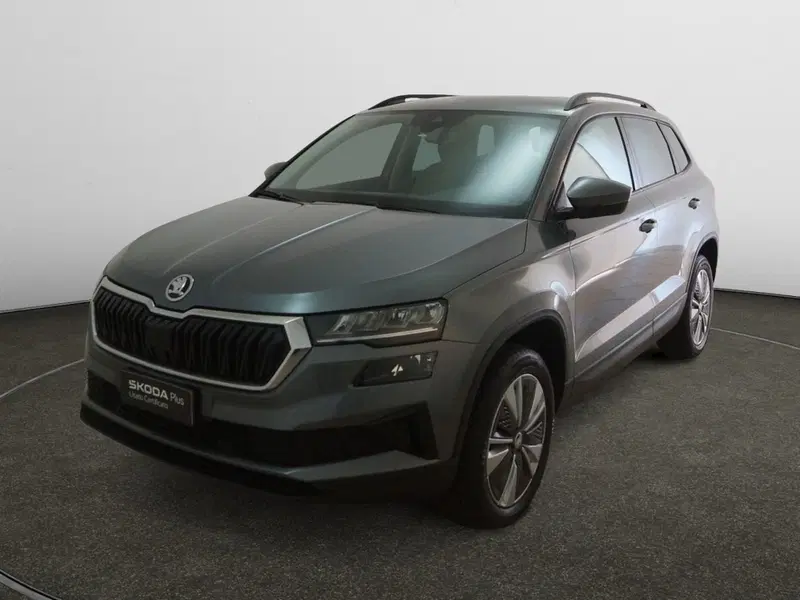 Skoda Karoq usata a Torino (3)