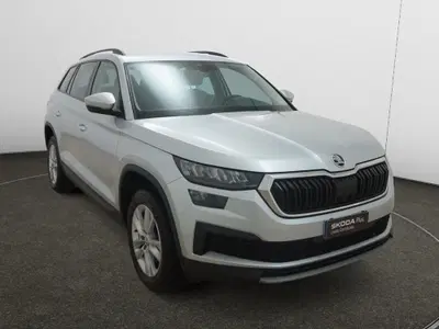 Skoda Kodiaq 2.0 TDI EVO SCR 4x4 DSG 7 posti Executive del 2023 usata a Torino