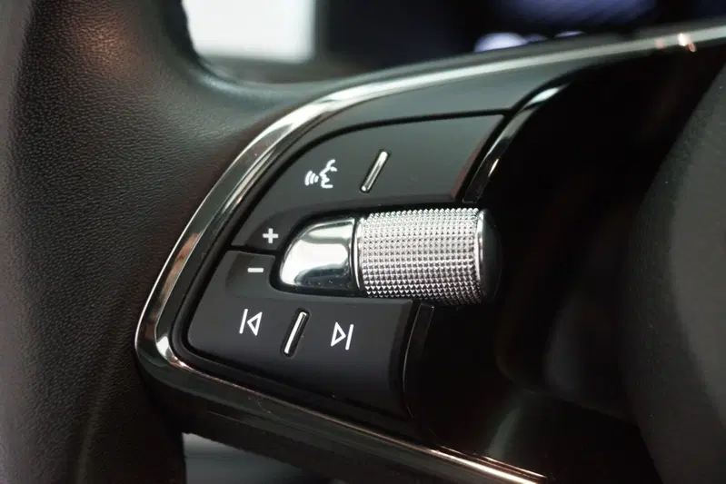 Skoda Kodiaq usata a Torino (14)