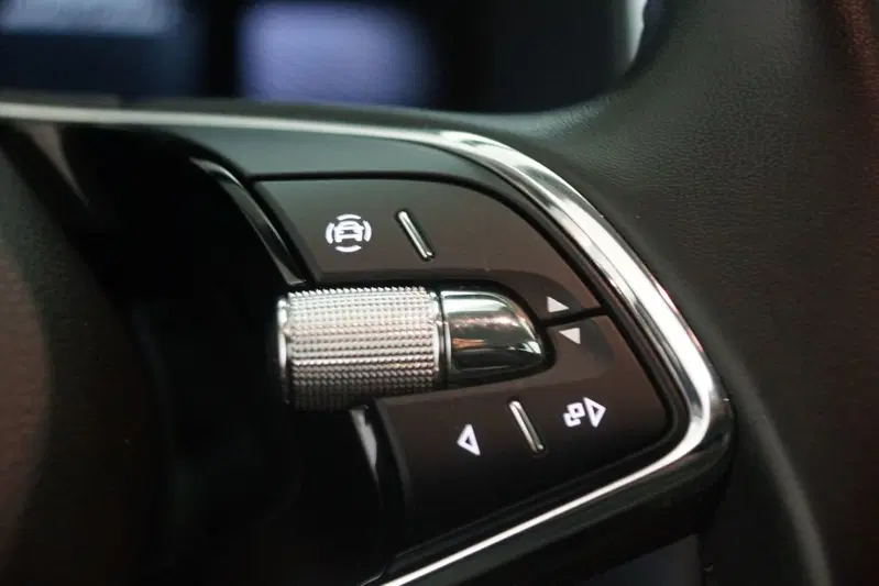 Skoda Kodiaq usata a Torino (15)