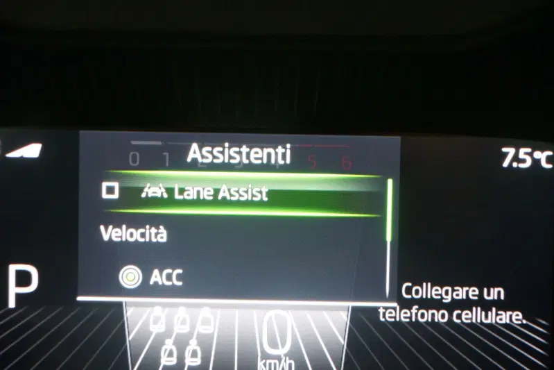 Skoda Kodiaq usata a Torino (16)