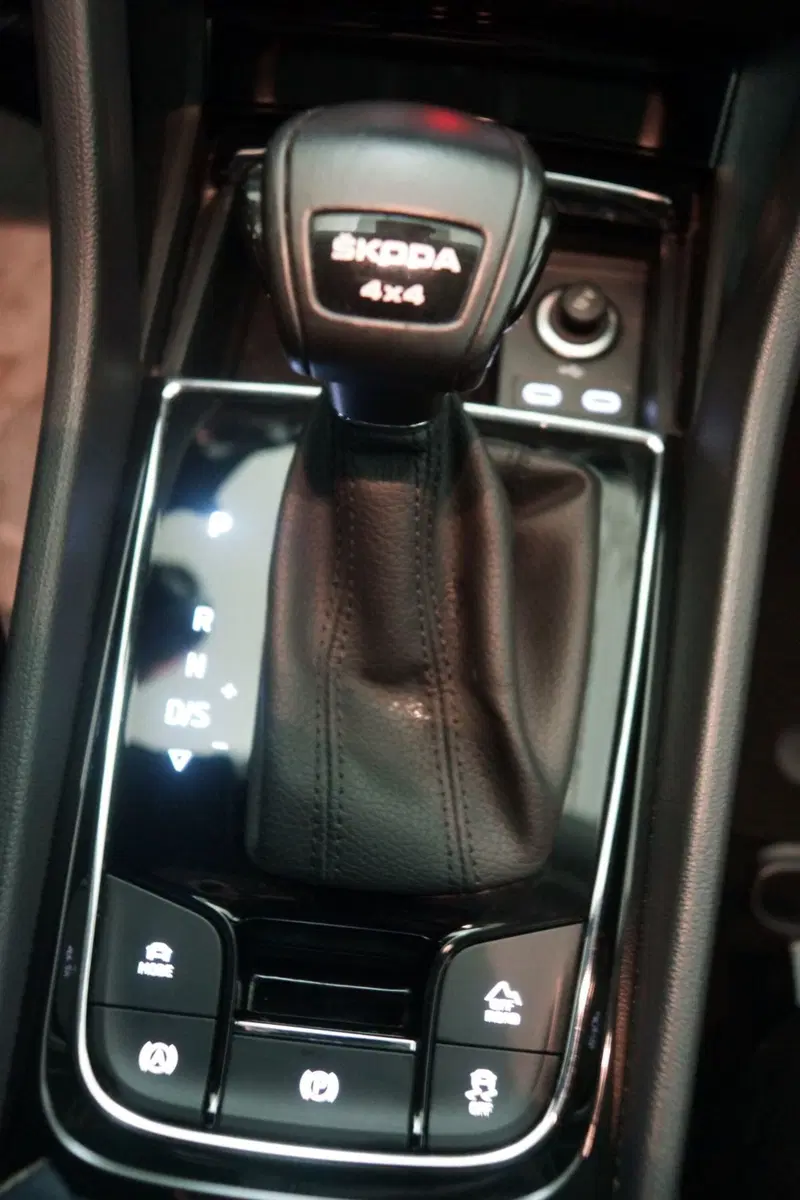 Skoda Kodiaq usata a Torino (17)