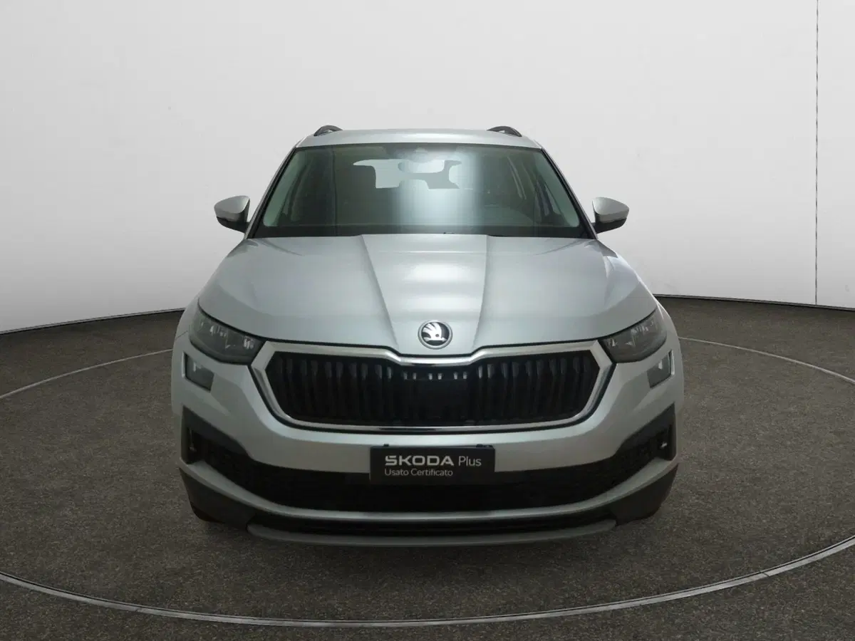 Skoda Kodiaq usata a Torino (2)