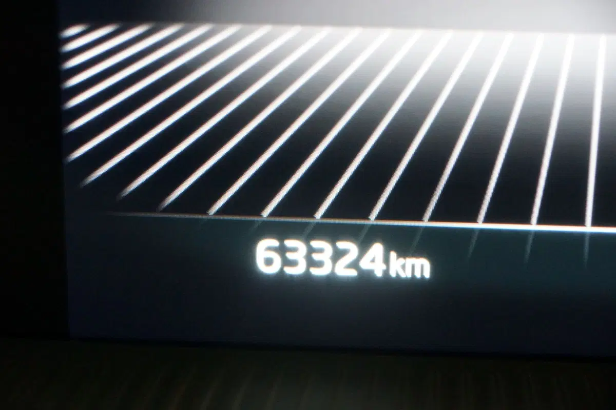 Skoda Kodiaq usata a Torino (11)