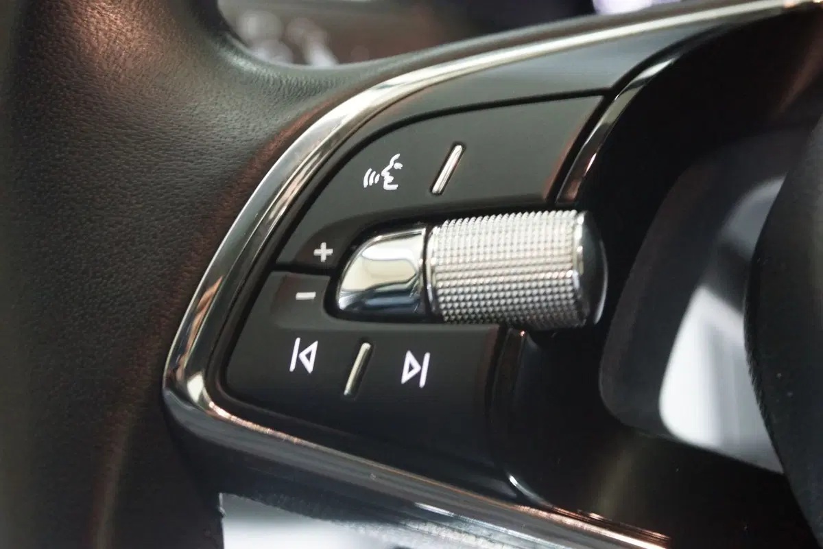Skoda Kodiaq usata a Torino (13)