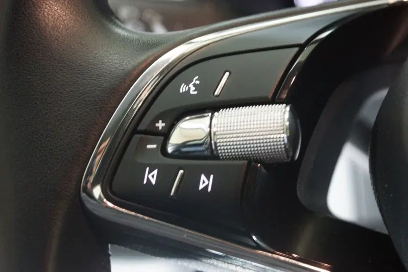 Skoda Kodiaq usata a Torino (13)