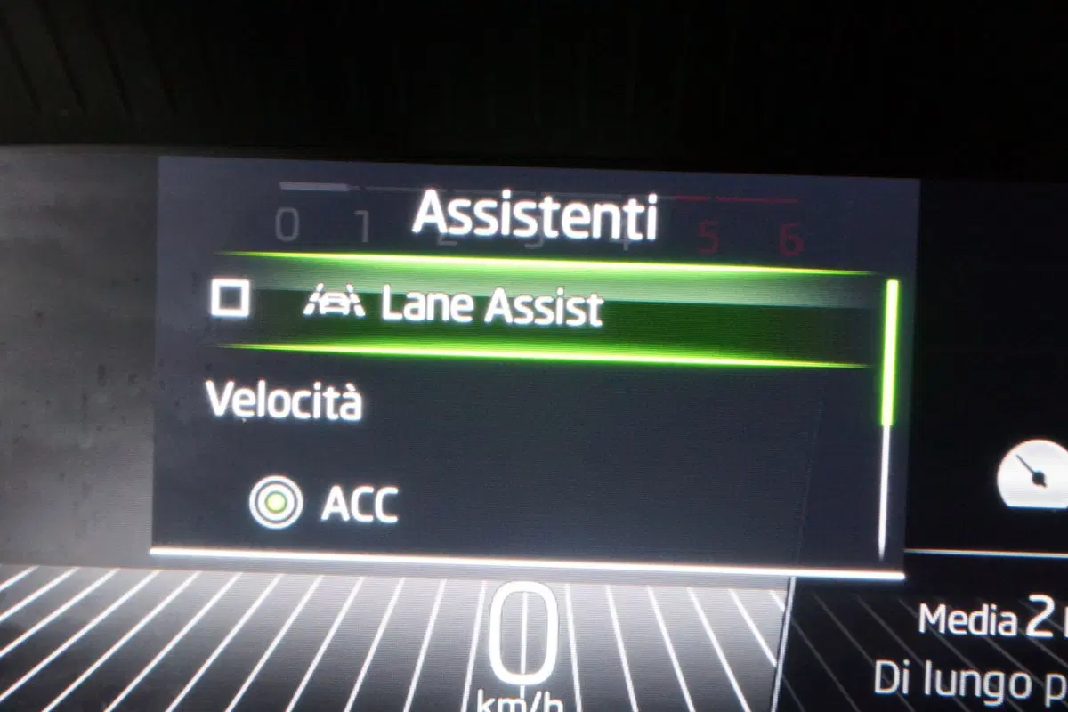 Skoda Kodiaq usata a Torino (15)