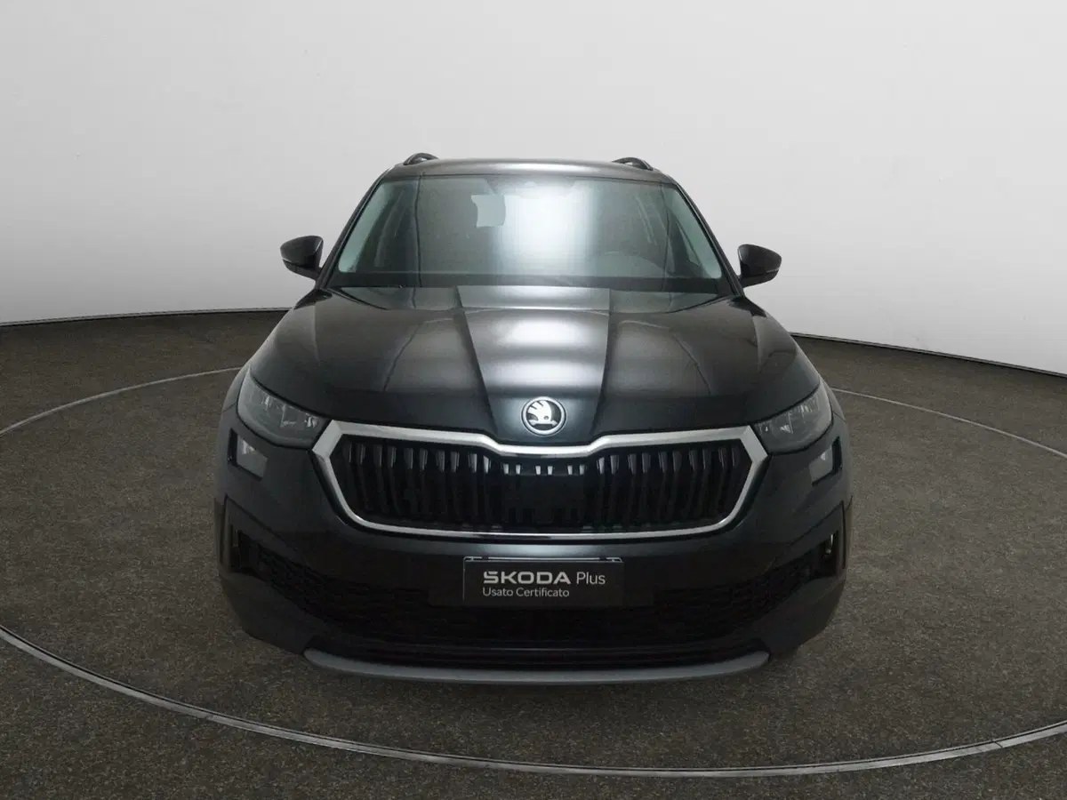 Skoda Kodiaq usata a Torino (2)