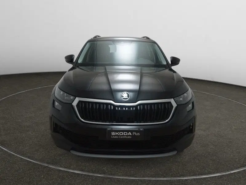 Skoda Kodiaq usata a Torino (2)