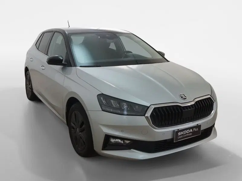 Skoda Fabia usata a Torino