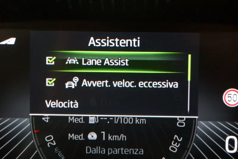 Skoda Fabia usata a Torino (15)