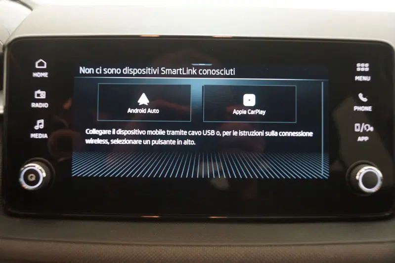 Skoda Fabia usata a Torino (18)