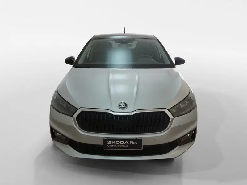 Skoda Fabia usata a Torino (2)