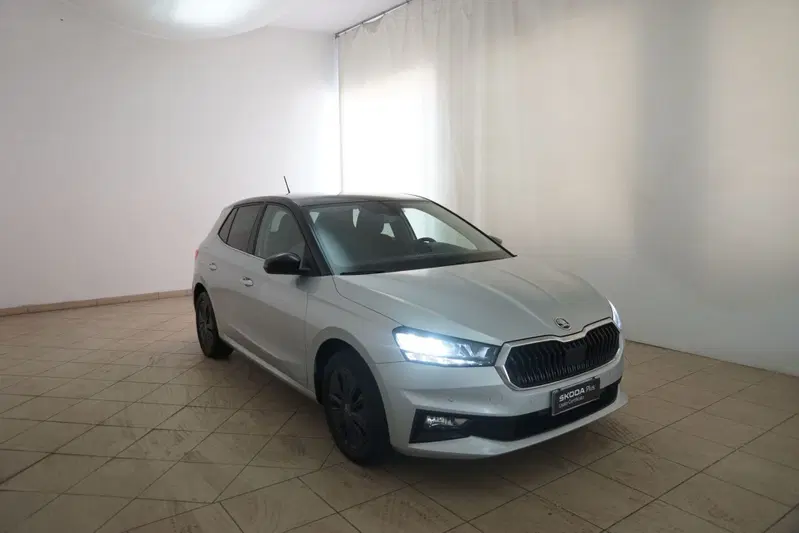 Skoda Fabia usata a Torino (20)