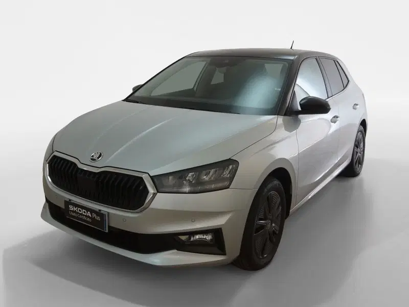 Skoda Fabia usata a Torino (3)