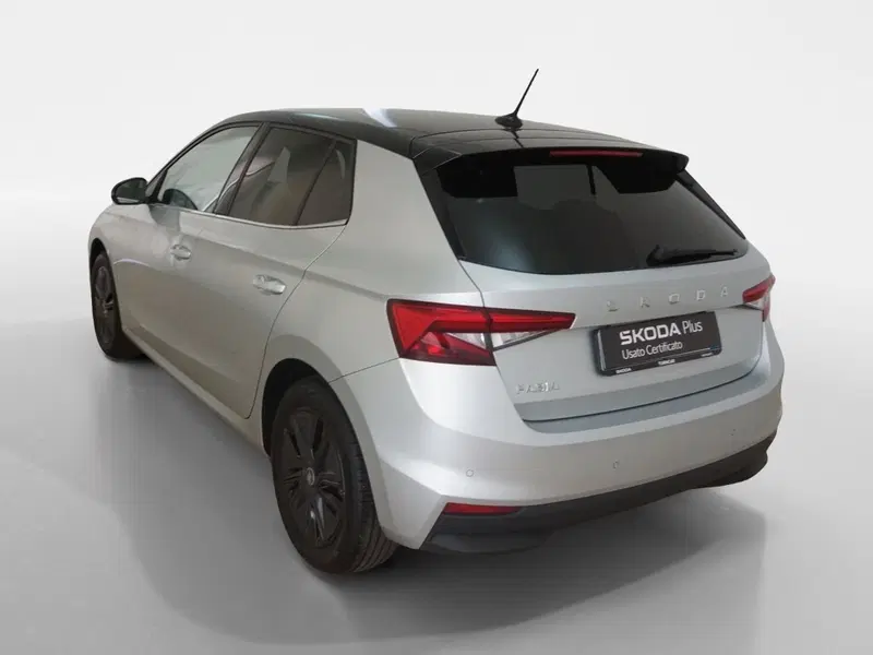 Skoda Fabia usata a Torino (4)