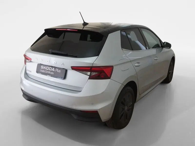 Skoda Fabia usata a Torino (6)
