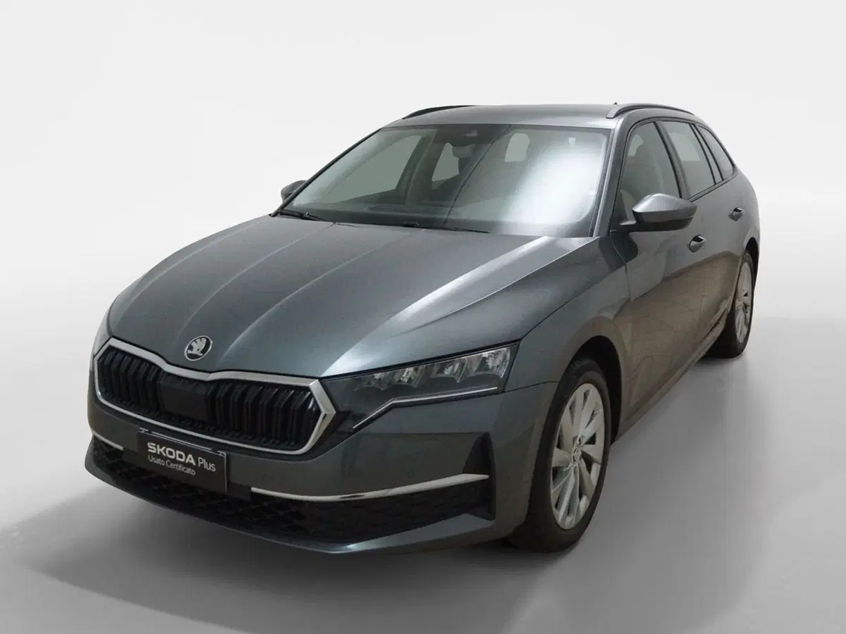 Skoda Octavia Station Wagon usata a Torino (3)