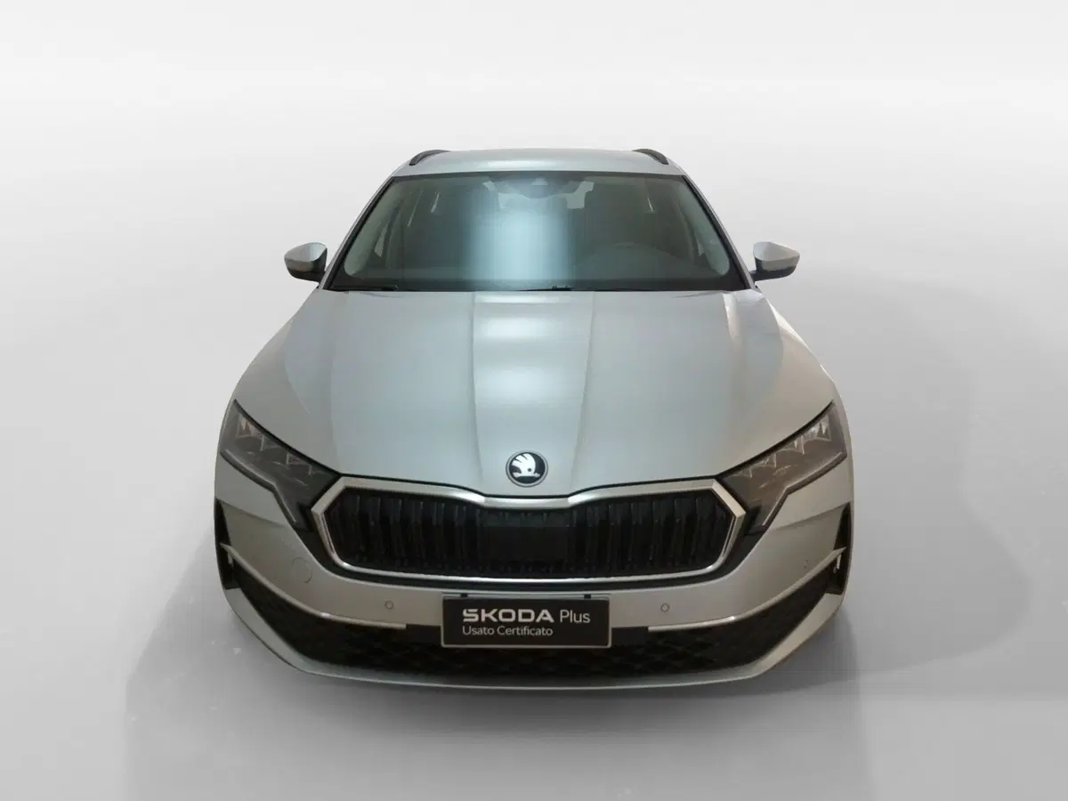 Skoda Octavia Station Wagon usata a Torino (2)