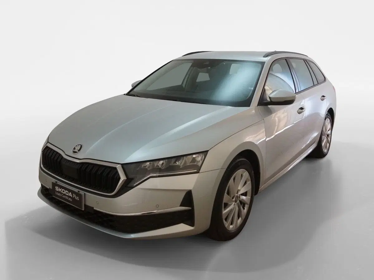 Skoda Octavia Station Wagon usata a Torino (3)