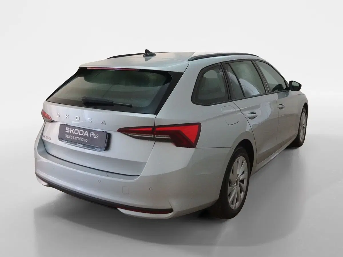 Skoda Octavia Station Wagon usata a Torino (6)