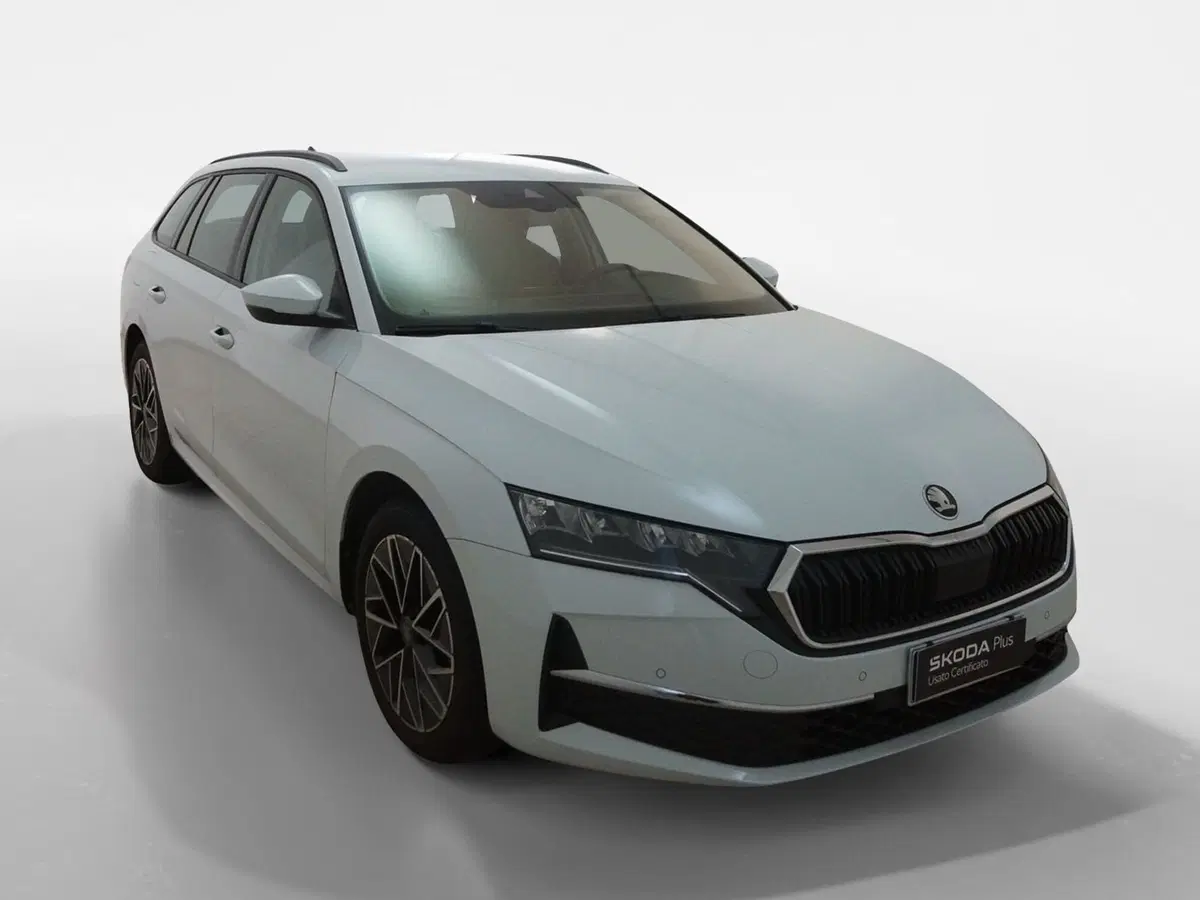 Skoda Octavia Station Wagon usata a Torino