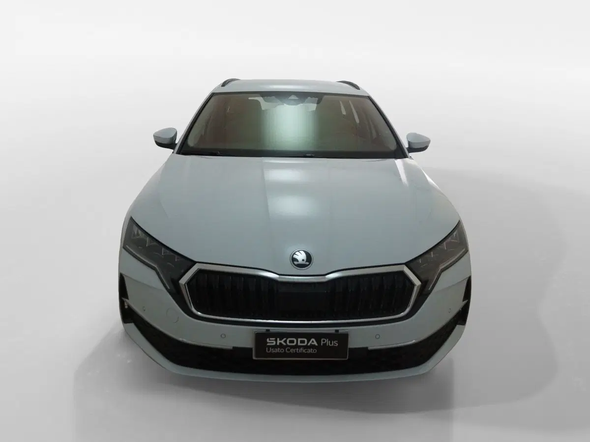 Skoda Octavia Station Wagon usata a Torino (2)