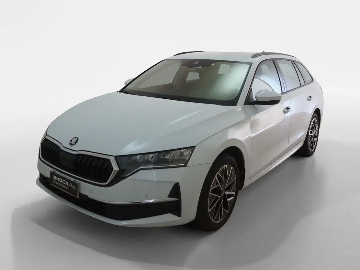 Skoda Octavia Station Wagon usata a Torino (3)