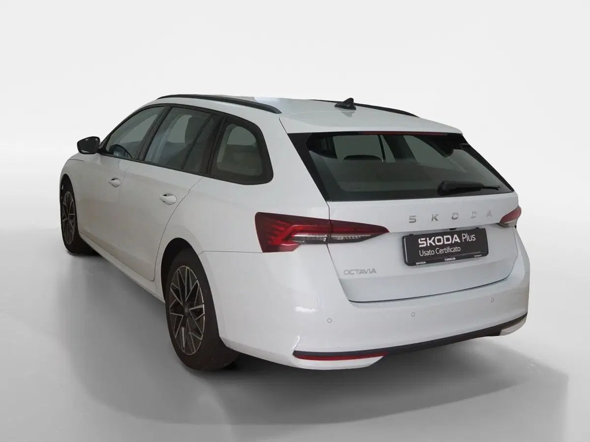 Skoda Octavia Station Wagon usata a Torino (4)