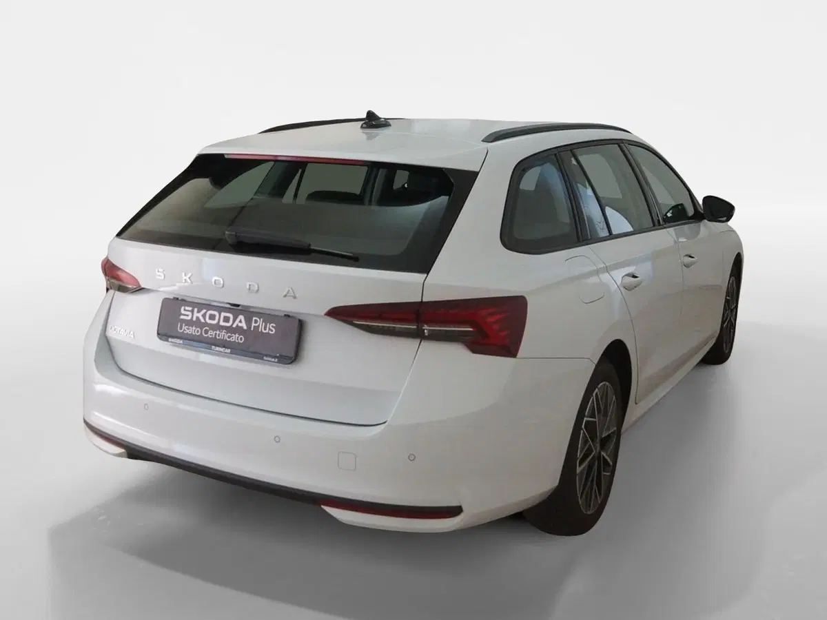 Skoda Octavia Station Wagon usata a Torino (6)