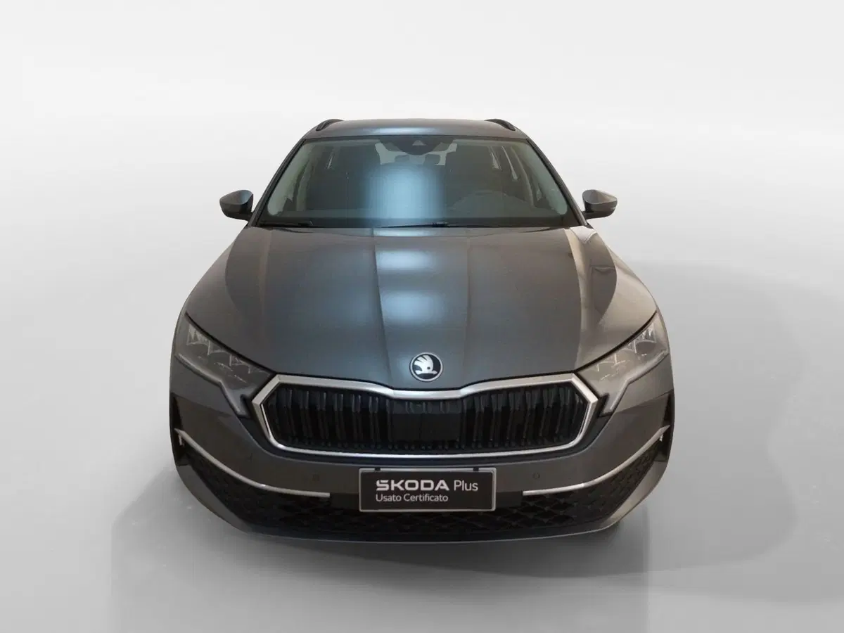 Skoda Octavia Station Wagon usata a Torino (2)