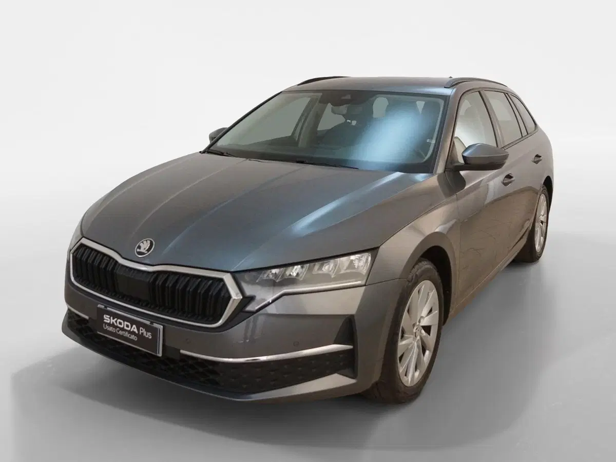 Skoda Octavia Station Wagon usata a Torino (3)
