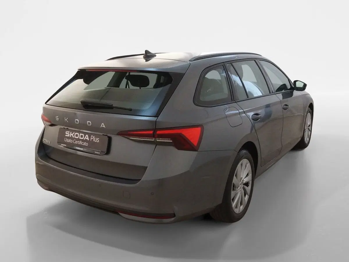 Skoda Octavia Station Wagon usata a Torino (6)