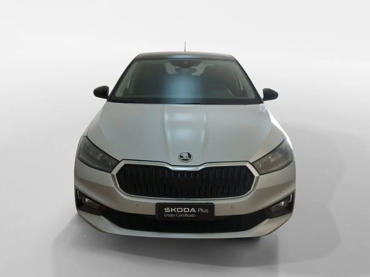 Skoda Fabia usata a Torino (2)